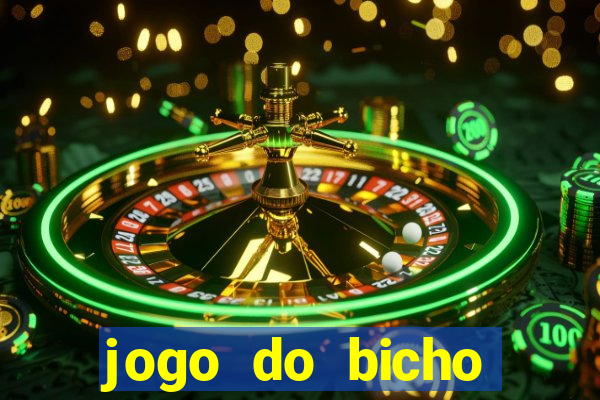 jogo do bicho crash bingo